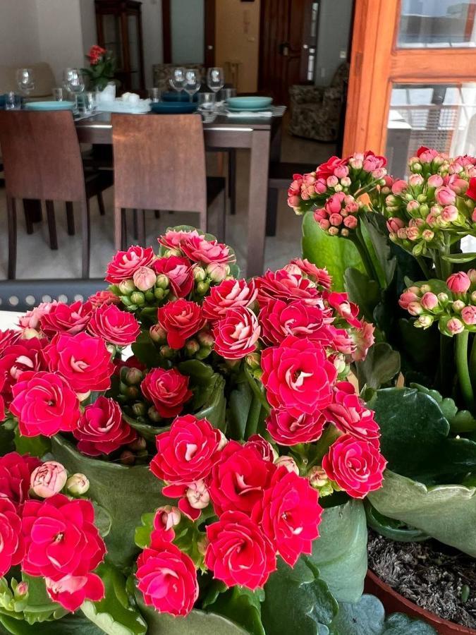 A Casa Di Nonna Apartment Пескара Екстериор снимка